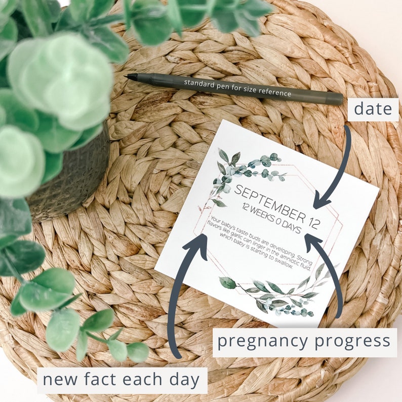 Custom Due Date Baby Countdown Calendar Pregnancy Gift for Etsy