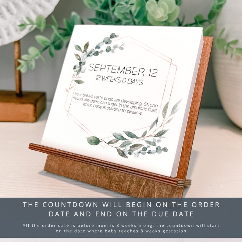 May include: A wooden pregnancy countdown calendar with a white card featuring the date "SEPTEMBER 12" and "12 WEEKS 0 DAYS". The card is decorated with watercolor botanical illustrations and a geometric frame. The text at the bottom reads "THE COUNTDOWN WILL BEGIN ON THE ORDER DATE AND END ON THE DUE DATE."