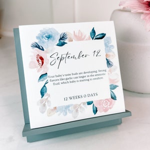 Custom Pregnancy and Baby Gift For Expecting Parents / Personalized Countdown to Due Date for Mom Dad / Customized Tear-Away Desk Calendar