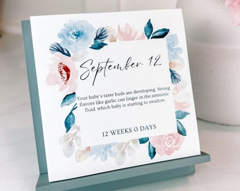 Custom Pregnancy and Baby Gift For Expecting Parents / Personalized Countdown to Due Date for Mom Dad / Customized Tear-Away Desk Calendar