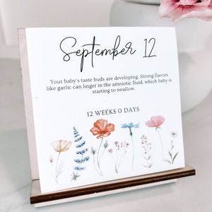 Custom Pregnancy and Baby Gift For Expecting Parents / Personalized Countdown to Due Date for Mom Dad / Customized Tear-Away Desk Calendar