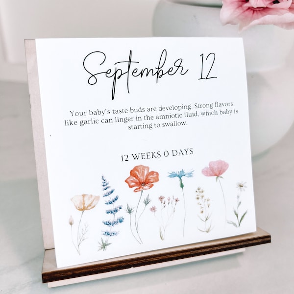 Tear Away a Day Calendar - Etsy