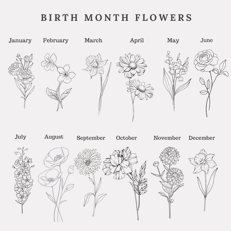 May include: A black and white line drawing of birth month flowers. The text "BIRTH MONTH FLOWERS" is at the top. Each month has a corresponding flower illustration, including carnations, daisies, and roses. The months are listed across the top and bottom.