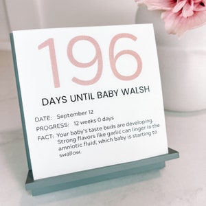 Personalized Countdown for Expecting Moms and Dads, Shower Gift for Parents, Pregnancy Calendar with Daily Facts, Customized with Baby Name
