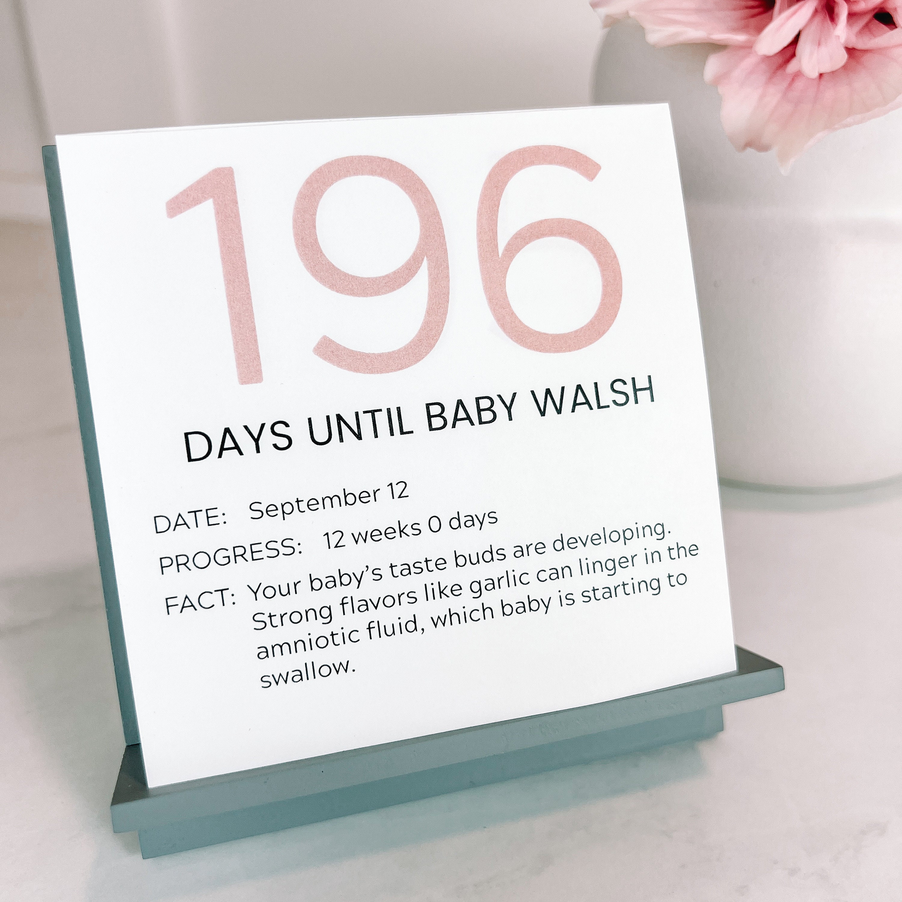 Personalized Countdown for Expecting Moms and Dads, Shower Gift for Parents, Pregnancy Calendar with Daily Facts, Customized with Baby Name