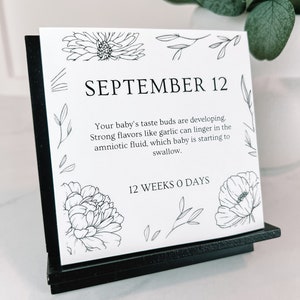 Custom Pregnancy and Baby Gift For Expecting Parents / Personalized Countdown to Due Date for Mom Dad / Customized Tear-Away Desk Calendar
