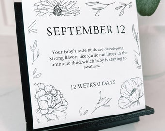 Custom Pregnancy and Baby Gift For Expecting Parents / Personalized Countdown to Due Date for Mom Dad / Customized Tear-Away Desk Calendar