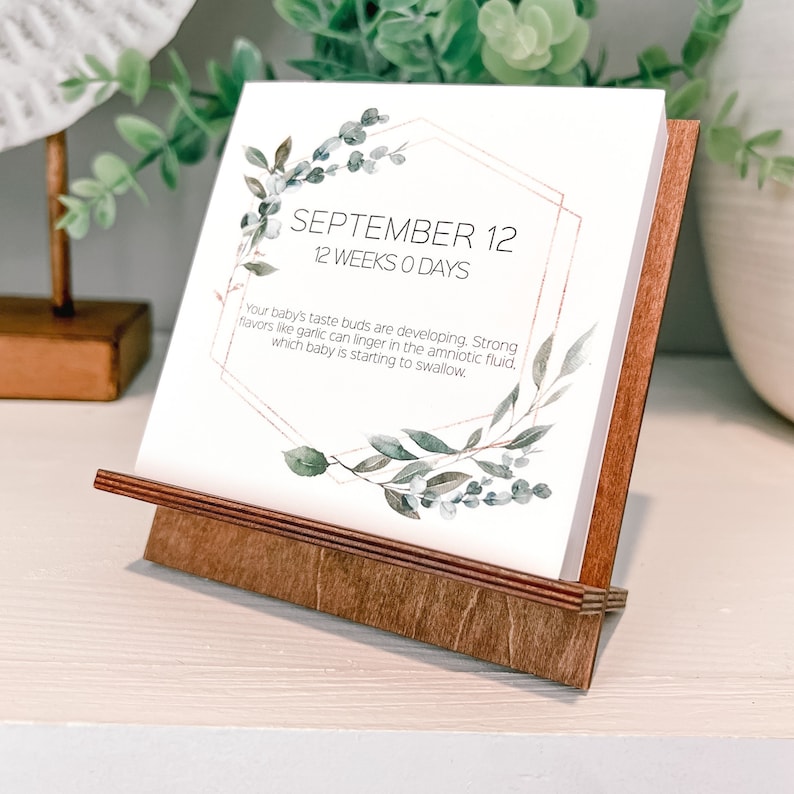 May include: A wooden pregnancy milestone calendar with the date September 12, 12 weeks 0 days, displayed on a white card. The card features botanical illustrations and text about the baby's development. The calendar is held by a wooden stand.