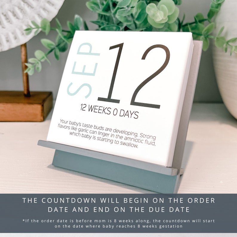 May include: A pregnancy countdown calendar with the date SEP 12 displayed. The calendar is on a light blue stand. The text reads "12 Weeks 0 Days" and includes information about the baby's development. The bottom of the calendar has additional text.