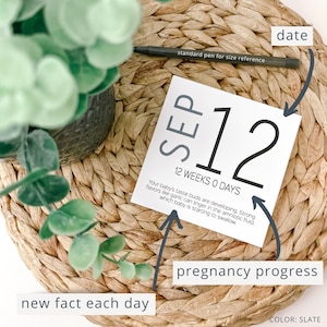 May include: A white card with the date "SEP 12" and "12 WEEKS 0 DAYS" printed in black. The card includes a pregnancy progress fact and is placed on a woven mat with a pen and a green plant.