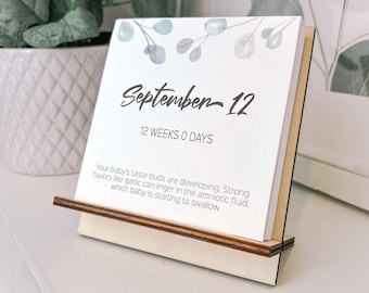 Due Date Baby Countdown – Custom Congratulations Pregnancy Gift for Expecting Moms – First Time Mom Gift