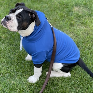Dog Hoody personalized dog sweater / with your own name / gift / autumn / winter / hoodie / dog clothes / animal / blue