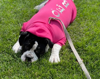 Hunde Hoody personalisierter Dog Pullover / mit eigenem Namen / Tierkleidung / Herbst / Winter /Kapuzen Pulli / Hundekleidung / Tier / Pink