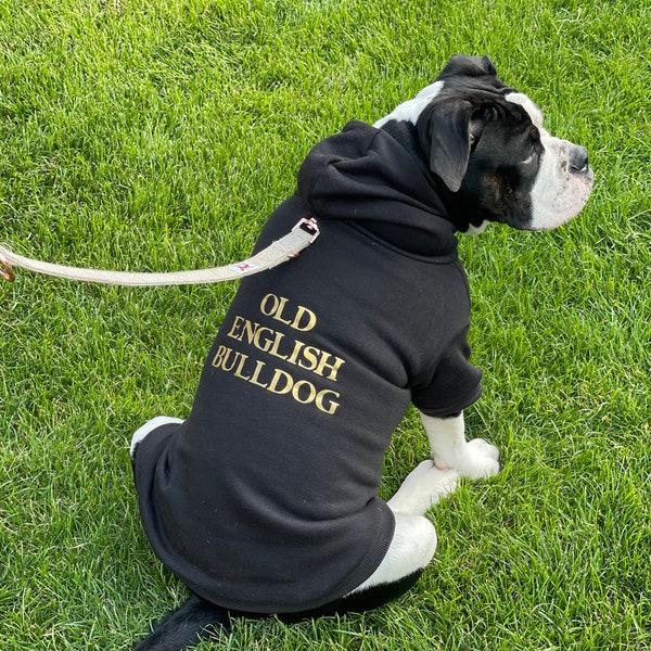 Hunde Hoody personalisierter Dog Pullover / mit eigenem Namen / Herbst / Winter /Kapuzen Pulli / Hundekleidung / Tier / schwarz