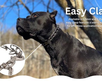 Choke Collar Cane Corso Chain Collar NEW! Low Pro Prong Series