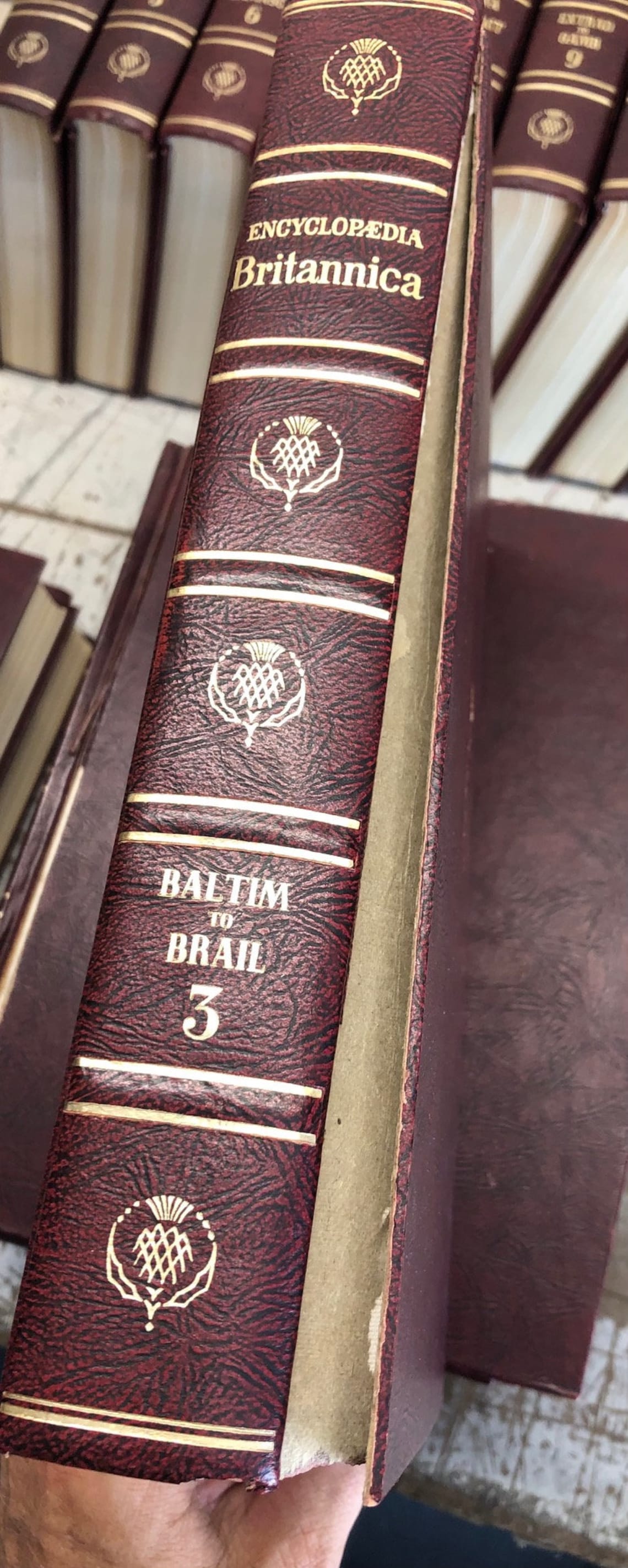 Vintage Encyclopedia Britannica 1961 Complete 24 Volume Set Etsy