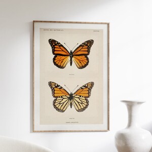 Butterfly Poster, Monarch Butterflies, Animal Paintings and Posters, Vintage Home Decor, Wall Art
