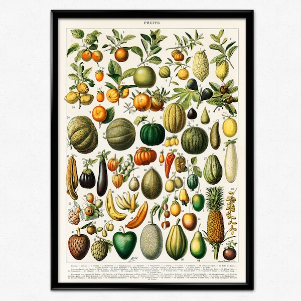 Kitchen Wall Art Fruits and Vegetables Kitchen Poster, Larousse Art Nouveau Poster, Vintage Home Decor, Adolphe Millot