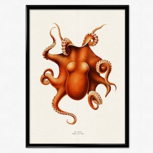 Póster vintage con estampado de pulpo, ilustración en color, estampado de animales, arte de pared del mar y el océano, pintura retro, decoración del hogar de granja