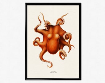 Póster vintage de pulpo con ilustración coloreada, estampado de animales, arte de pared marino y oceánico, pintura retro de granja, decoración del hogar