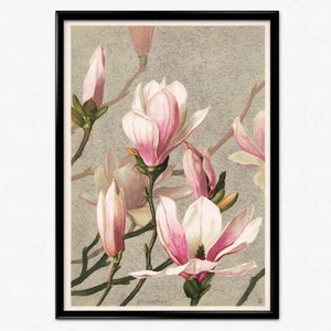 Magnolia Flowers on Red Background #1 Wall Picture 8x10 Art Print 
