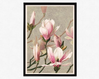 Flower Poster, Magnolia Art Print, Vintage Botanical Illustration, Pink Flower, Floral, Watercolor, Home Decor, Wall Art