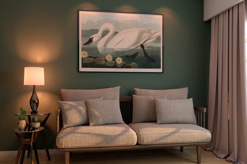 Vintage Swan Painting, American Swan Poster from Birds of America, Vintage Bird Illustration, Animal Print, John James Audubon, Home Decor