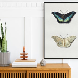 Schmetterling Poster Butterflys Print, Vintage Tierposter, Wandkunst, Home Decor
