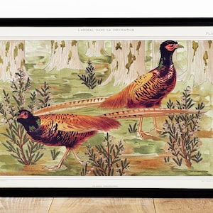Cartel de pájaro vintage, cartel de animales, pintura de faisán, papel pintado Art Nouveau, decoración de granja, decoración del hogar, arte de pared, 03
