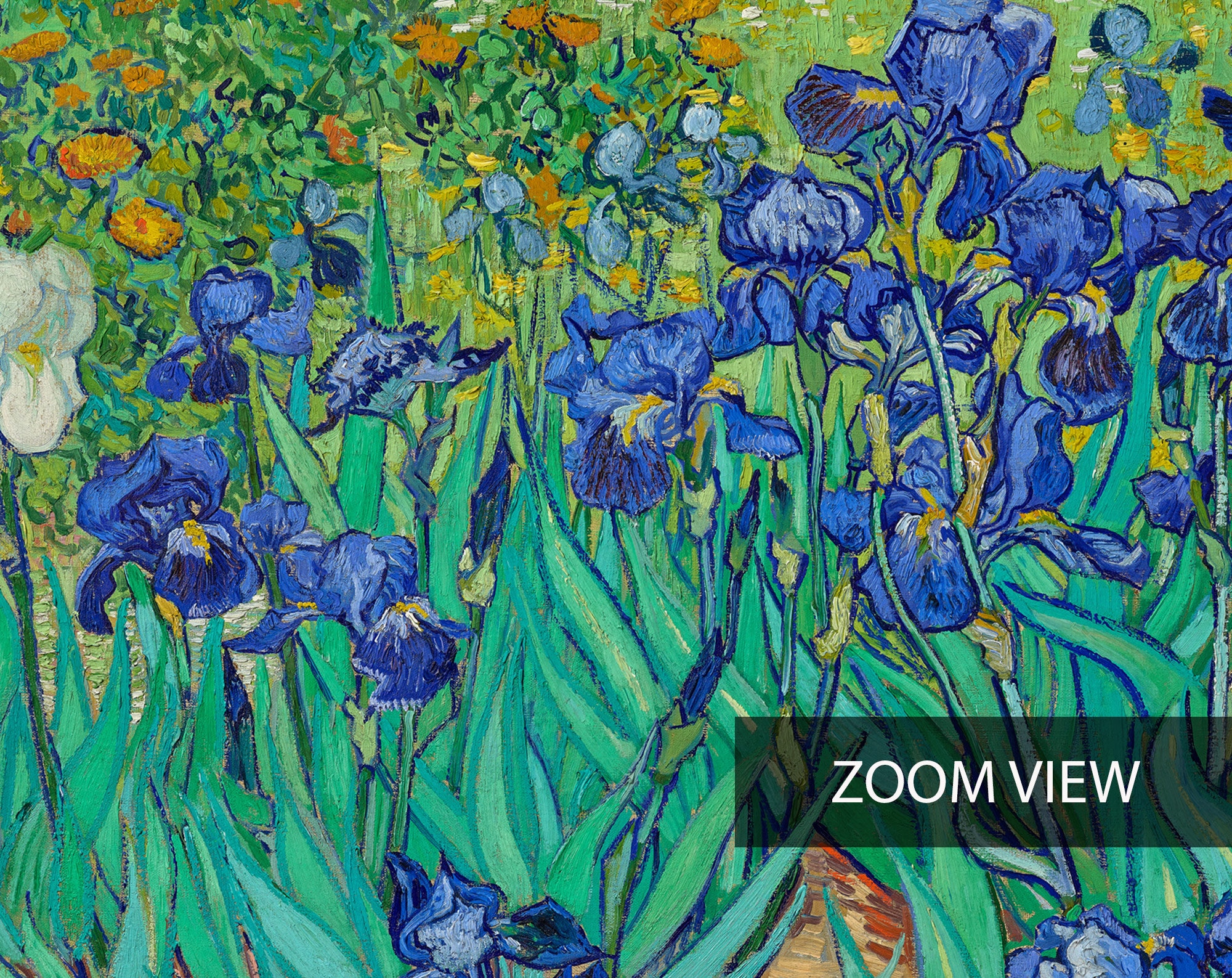 Van Gogh Exhibition Poster Vincent Van Gogh Irises Print Etsy