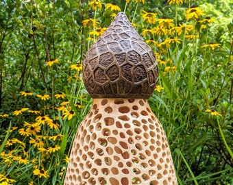 Bridal Veil Mushroom Etsy Bridal Veil Mushroom Etsy