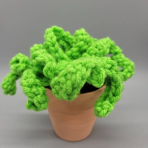 Crochet Aloe Plant