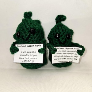 Positive Pickle Crochet Amigurumi