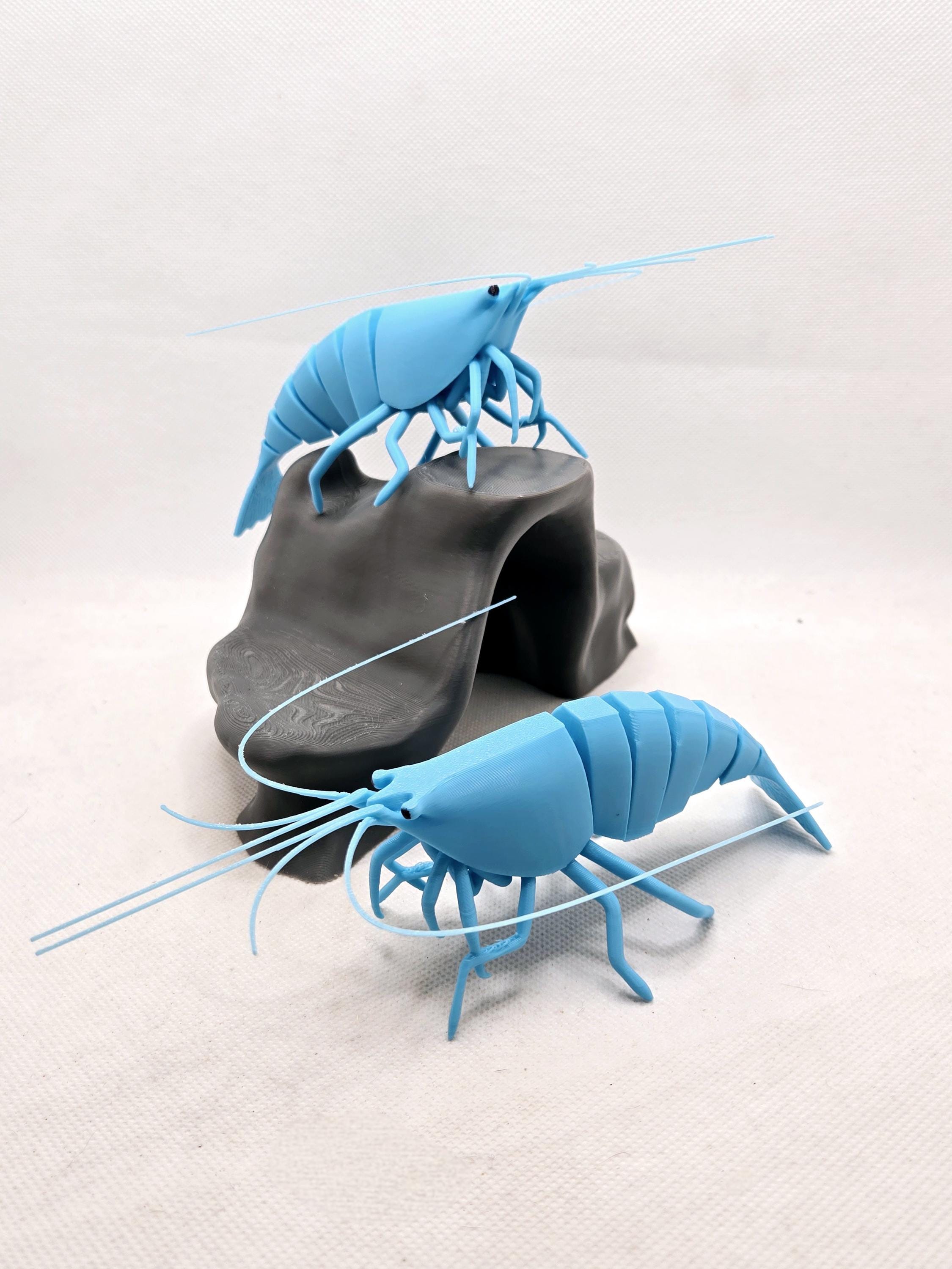 3d Printed Shrimp, Fidgets, Pocket pals, cute pets, shrimps