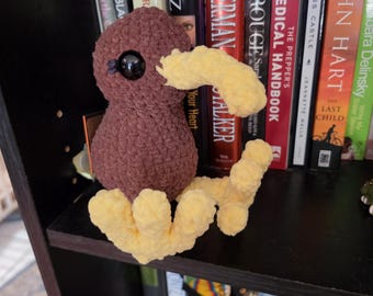 Crochet Kiwi Bird Plush | Handmade Kiwi Amigurumi | New Zealand Bird Plush | Cute Flightless Bird | Kawaii Animal Gift | Nature Lover Gift