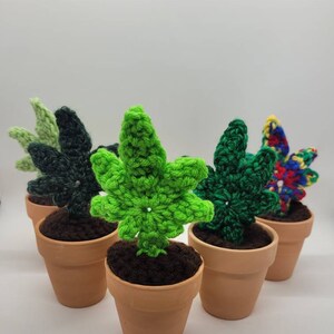 May include: Five crocheted potted plants, each with a different colored leaf. The plants are in terracotta pots and have brown felt soil.