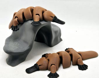 3d Printed Platypus Fidgets, Pocket pals, articulated Platypus