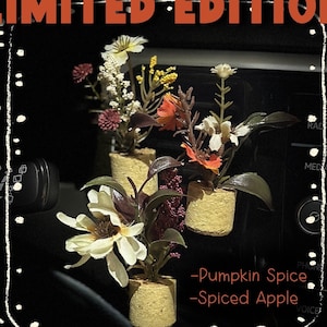 Mini Fall Plant Car Air Freshener, Pumpkin Spice  A/C Vent Clip, Cute Car Accessories, Essential Oil Diffuser, Boho Decor, Stocking Stuffer