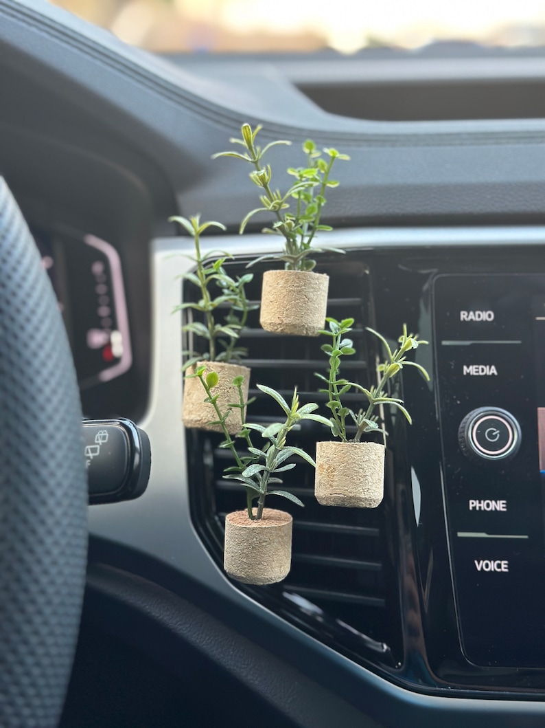 Mini Plant Car Air Freshener, Plant A/C Vent Clip, Cute Car Accessories, Car Essential Oil Diffuser, Boho Car Decor, Stocking Stuffer image 7