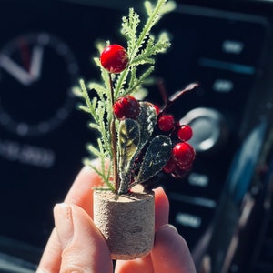 May include: A small, potted Christmas tree with red berries and green leaves. The tree is in a cork pot and is being held by a hand.