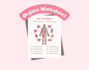 Name the Organs Worksheet for Kids