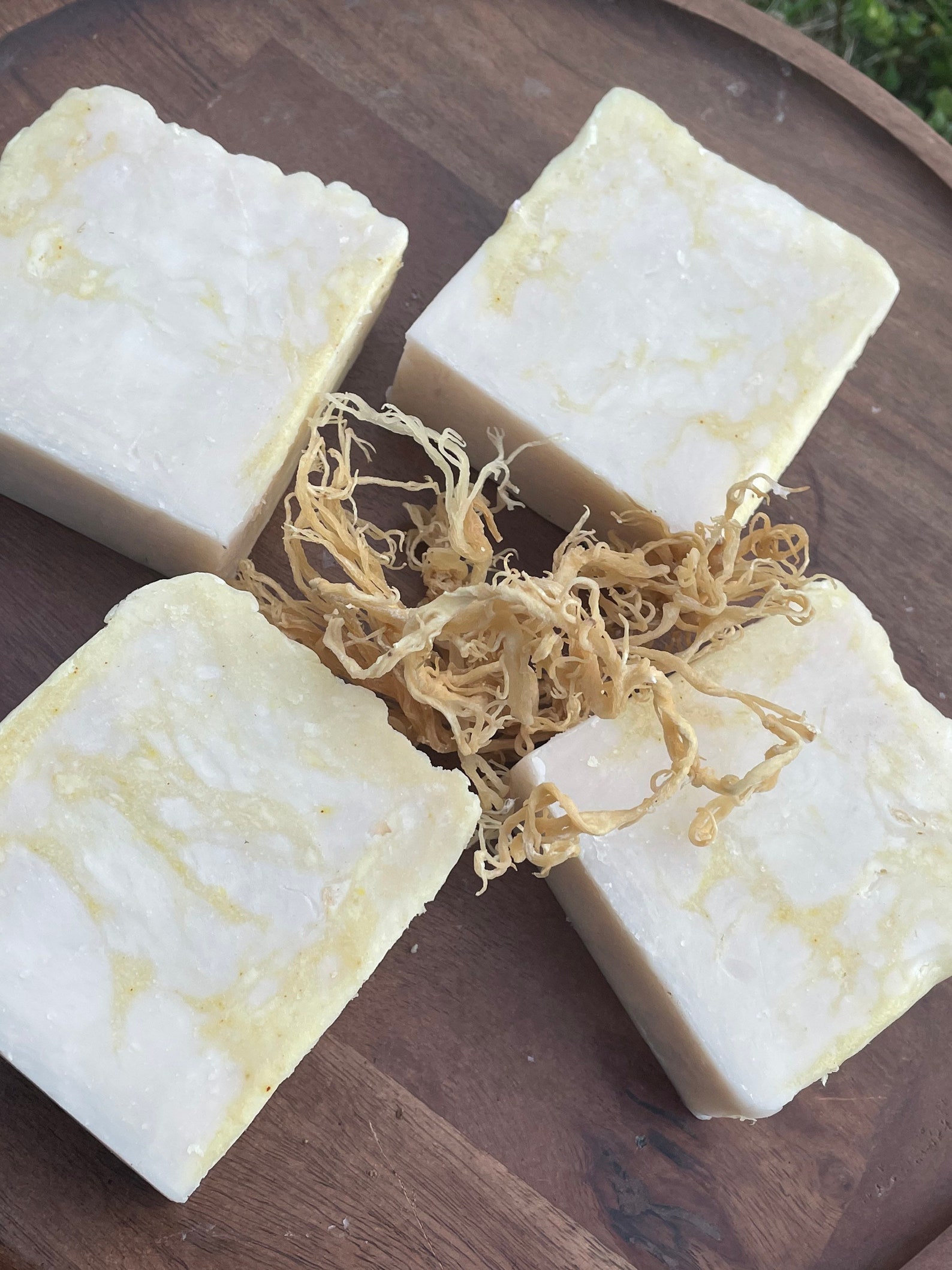 Handmade Sea Moss Soap Bar Sea Moss and Turmeric Soap Soap Etsy