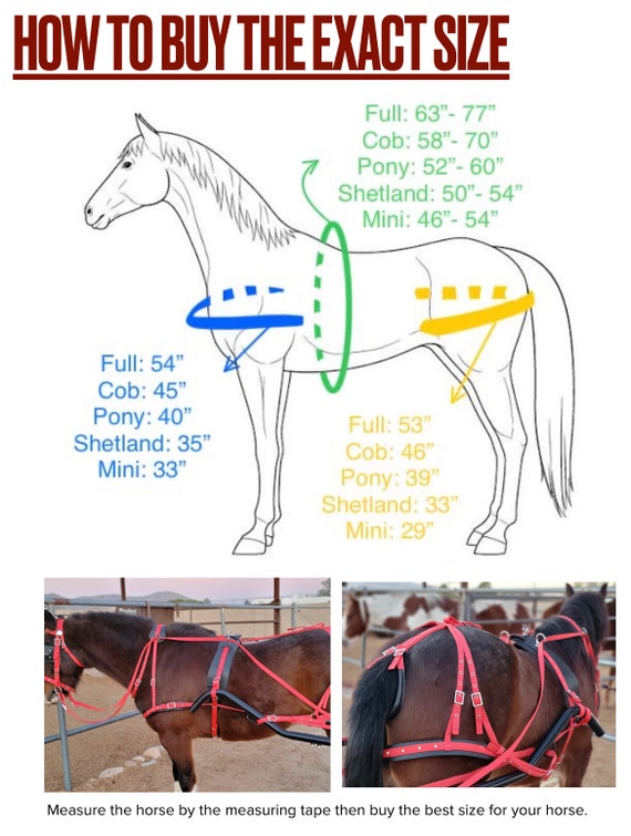 AMAZING HORSE STUFF Nylon Horse Driving Harness With Designer