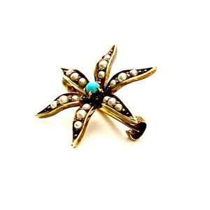 Sweet Antique 14k Gold Seed Pearl and Turquoise Star Pin Brooch