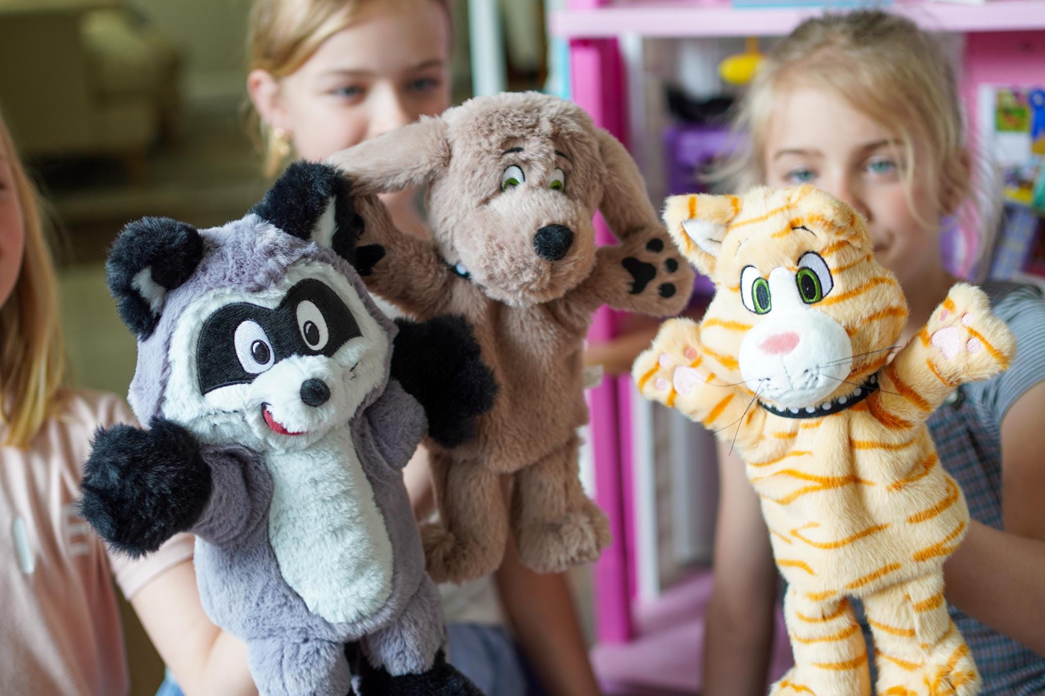 Ricky Raccoon Hand Puppet 12