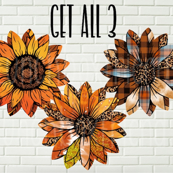 Fall Sunflowers bundle Png, Instant download, Clipart, Fall sublimation, Fall png, Fall digtial, Sunflowers png, Fall digital, Fall png