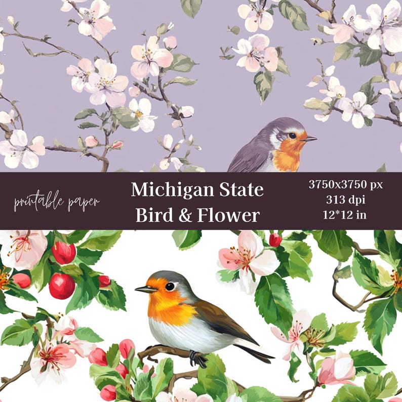 Michigan State Bird & Flower Paper, Floral Scrapbook Paper, Digital ...