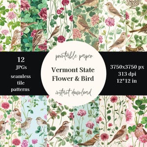 Papel con pájaros y flores del estado de Vermont, papel floral para álbum de recortes, papel digital, papel floral, pájaro del estado, papel imprimible, papel digital