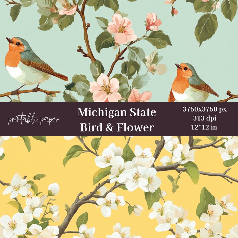Michigan State Bird & Flower Paper, Floral Scrapbook Paper, Digital ...