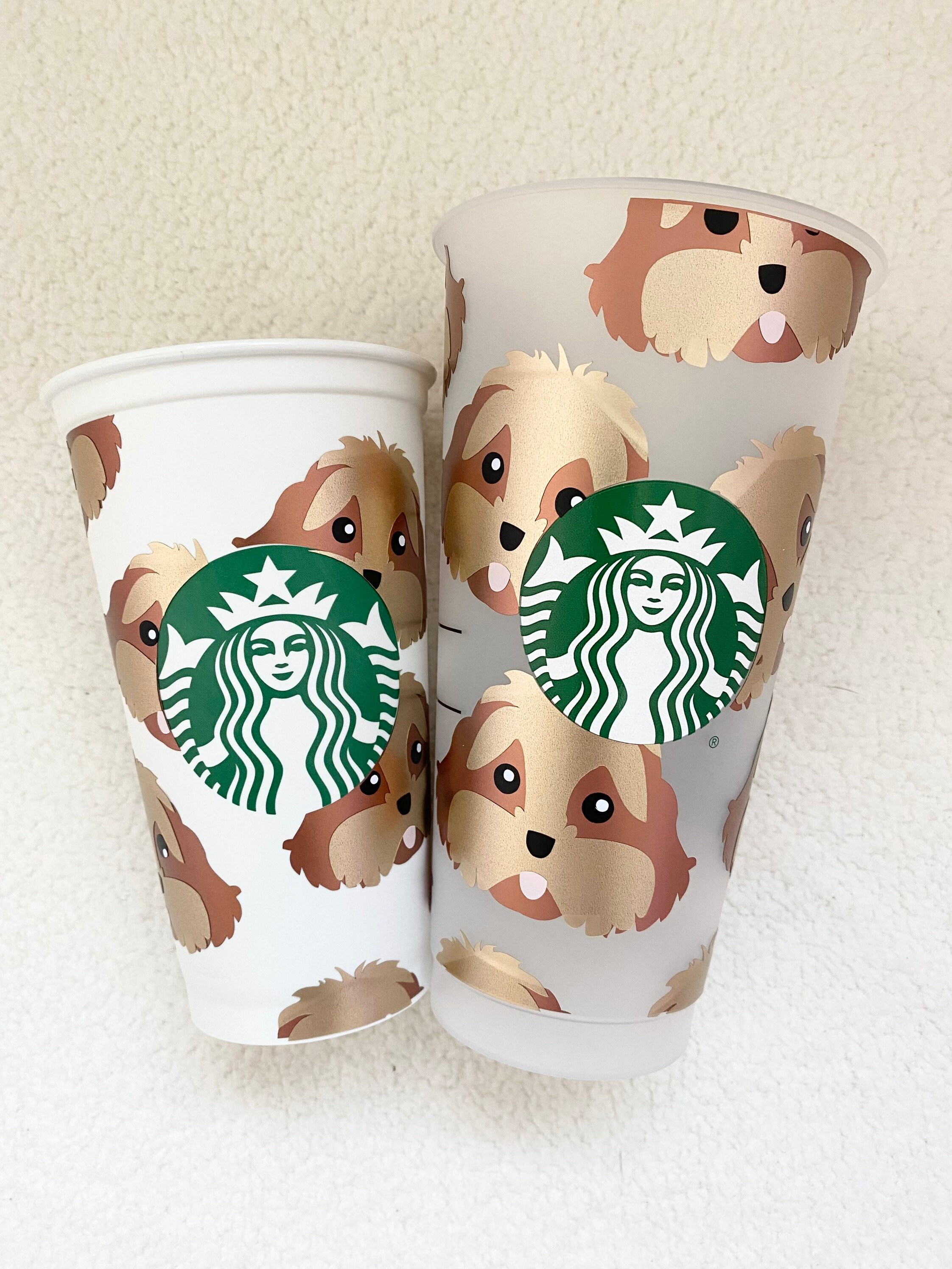 Can Dogs Go In Starbucks Uk
